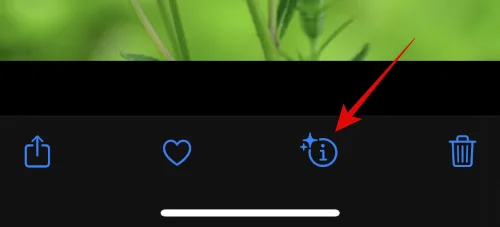 IOS 16 fotoudskæring virker ikke?  Sådan rettes på 8 måder