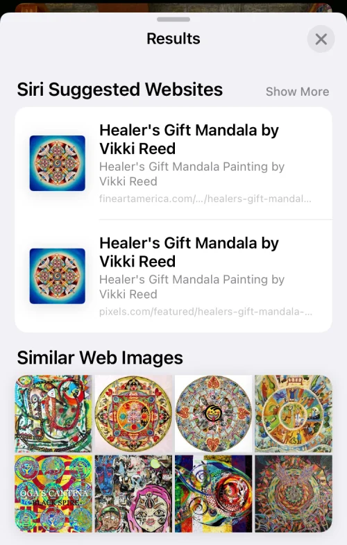 11 nemme måder at lave omvendt billedsøgning på iPhone