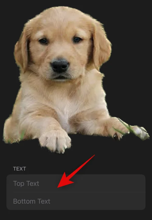 IOS 16: Hvordan lage klistremerker fra bilder