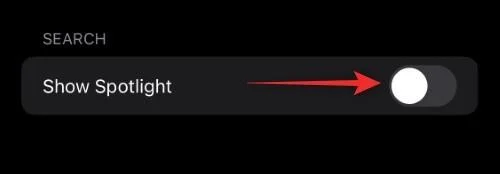 Hva er søkeknappen på startskjermen på iOS 16?