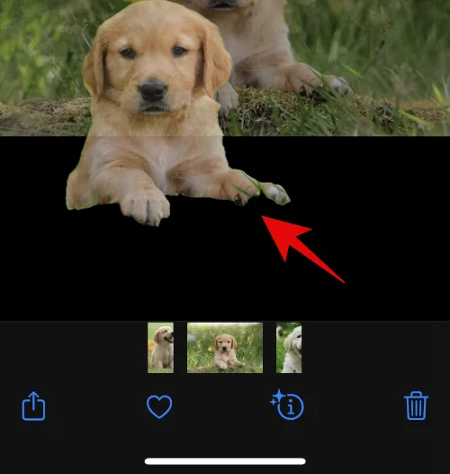 IOS 16: Hvordan lage klistremerker fra bilder