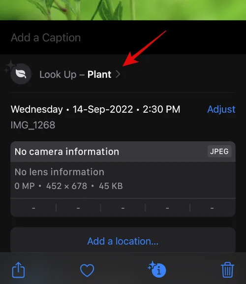 IOS 16 fotoudskæring virker ikke?  Sådan rettes på 8 måder