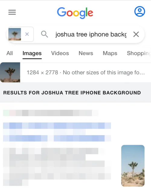 11 nemme måder at lave omvendt billedsøgning på iPhone