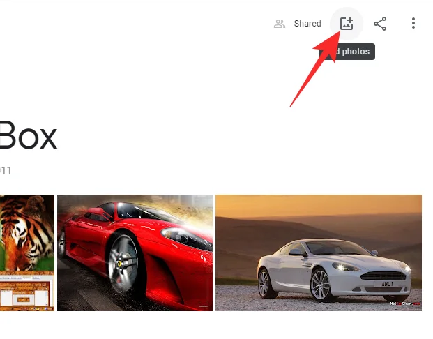 Google Photos Face Recognition Not Working: Fixes and Tips to Try