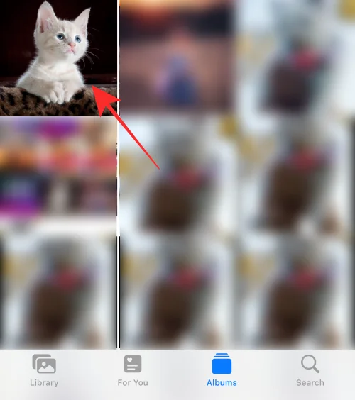 Hur man kopierar redigeringar i Photos App på iPhone på iOS 16