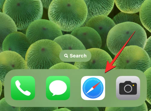 Jak obnovit stránku na iPhone v Safari, Chrome a dalších