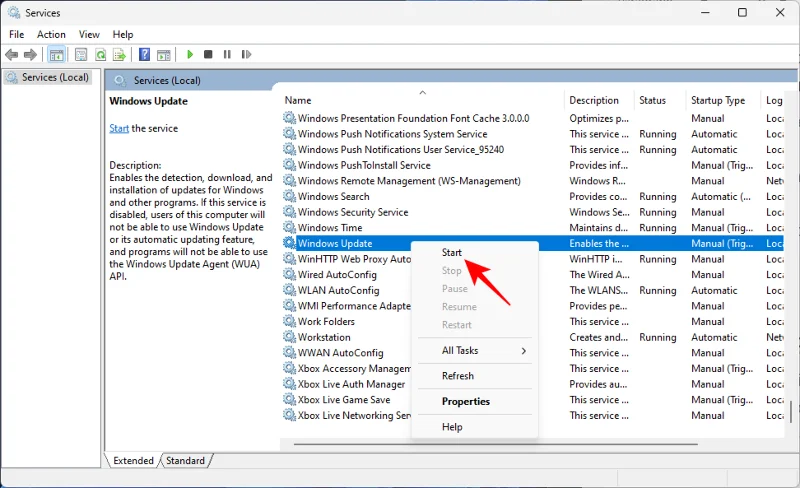 7 způsobů, jak opravit „chybu stahování 0x80248007“ v systému Windows [Průvodce krok za krokem]