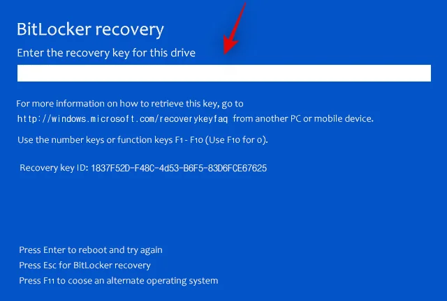 Як вирішити проблему з ключем відновлення Bitlocker після перезавантаження Windows 11