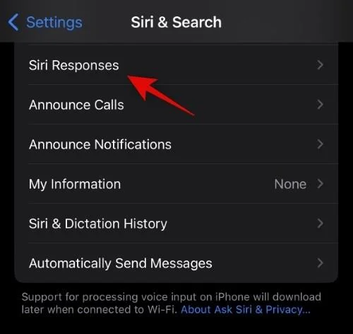 Hur man får Siri att svara tyst på iPhone