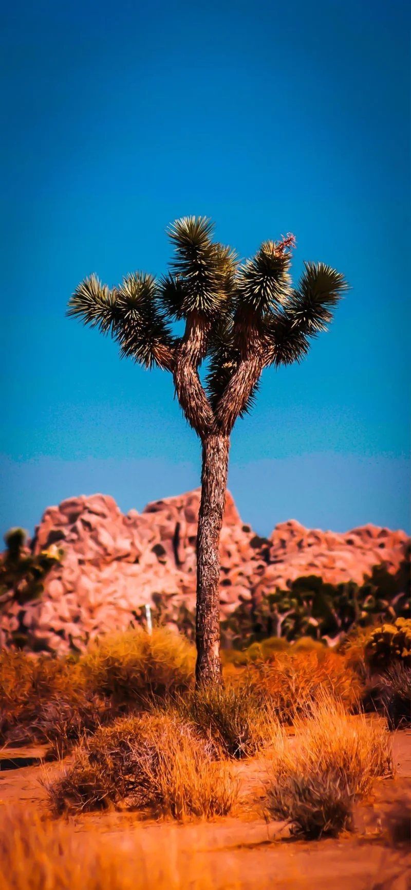 Coola iOS 16 Depth Wallpapers för din iPhones låsskärm
