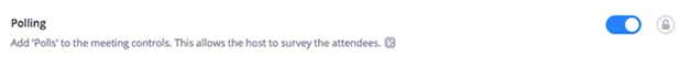 Kuinka luoda kyselyitä Zoom-kokouksessa