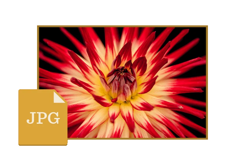 Hur man optimerar bilder för webben