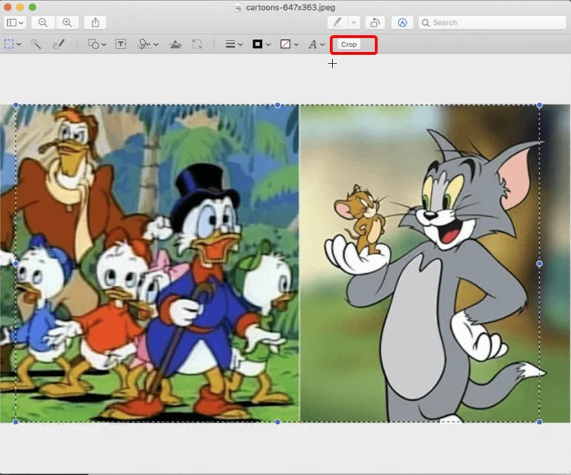 Jak oříznout, změnit velikost a upravit fotografie na Macu