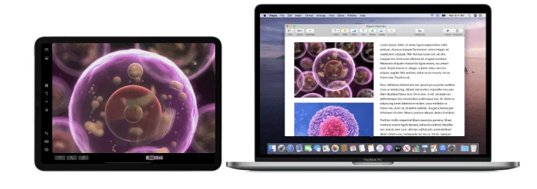 14 bendrų „macOS Catalina“ problemų ir greitų jų pataisymų