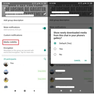 Спрете режима на автоматично запазване в WhatsApp и организирайте галерията си с тези хакове!