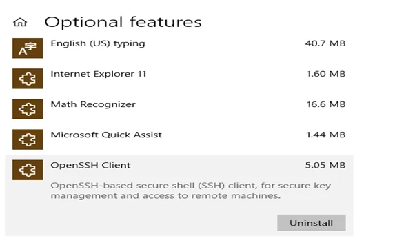 Як використовувати безпечну оболонку SSH у Windows 10?