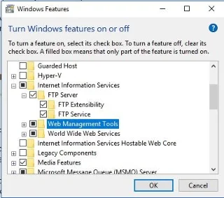 Kaip nustatyti ir valdyti FTP serverį sistemoje „Windows 10“?