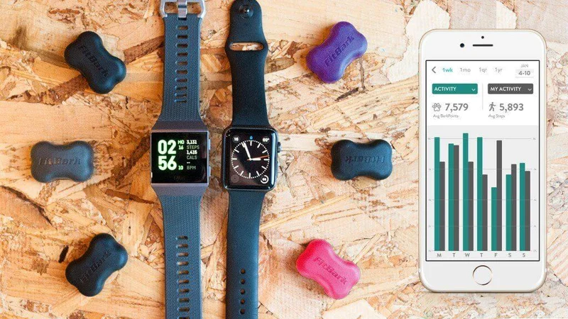 8 mjetet më të mira që duhet të kenë për pronarët e qenve