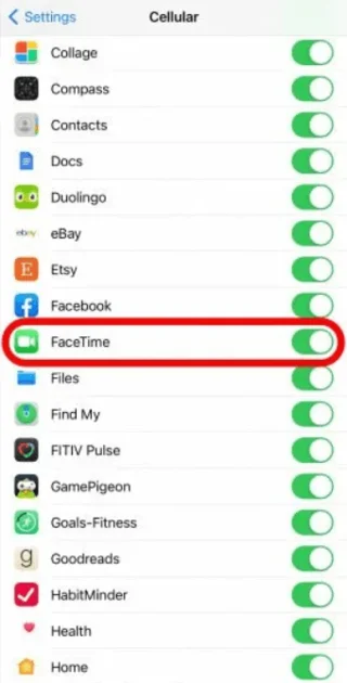 FaceTime не работи или продължава да замръзва на iOS 15: Решено