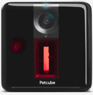 8 mjetet më të mira që duhet të kenë për pronarët e qenve