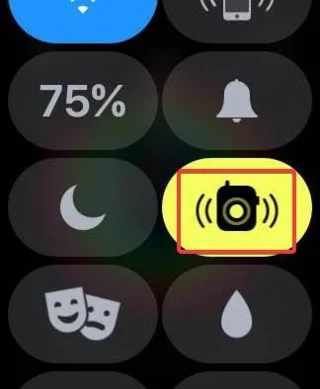 Kuidas kasutada Apple Watchis raadiosaatjat