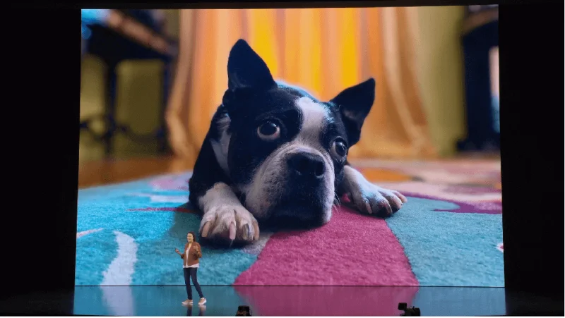 Proč byste si měli koupit iPhone 11 nebo iPhone 11 Pro? Proč byste si měli koupit iPhone 11 nebo iPhone 11 Pro?