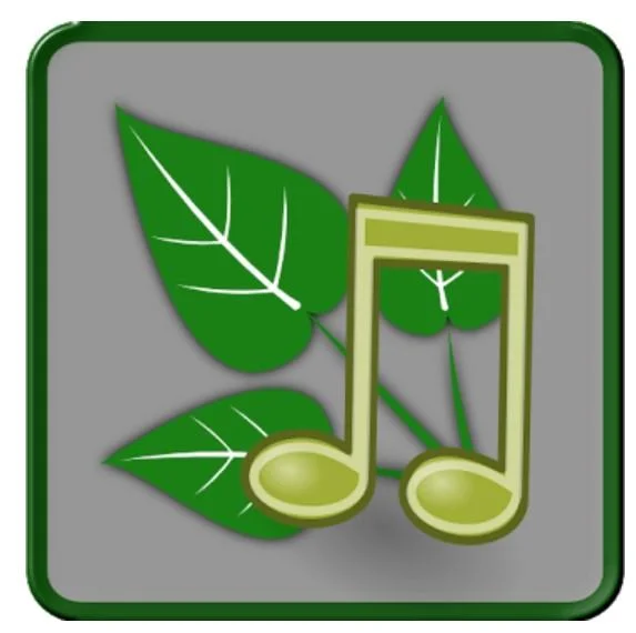 Aplikacione që ndihmojnë në kurimin e pagjumësisë