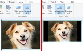 Keletas pagrindinių patarimų ir gudrybių, kaip įvaldyti „Windows Movie Maker“.