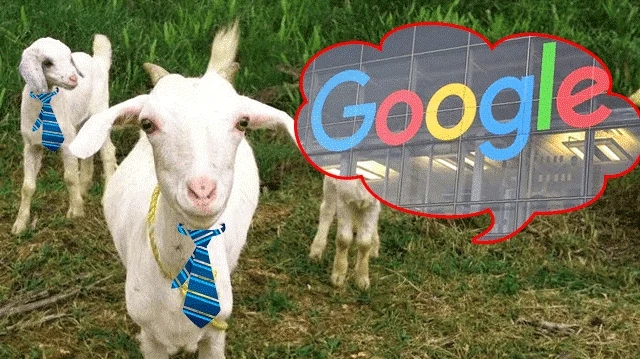 Честит 21-ви рожден ден на Google!  Знайте 21 луди факта!