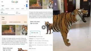 Разширена реалност: Как да използвате Google 3D Animals