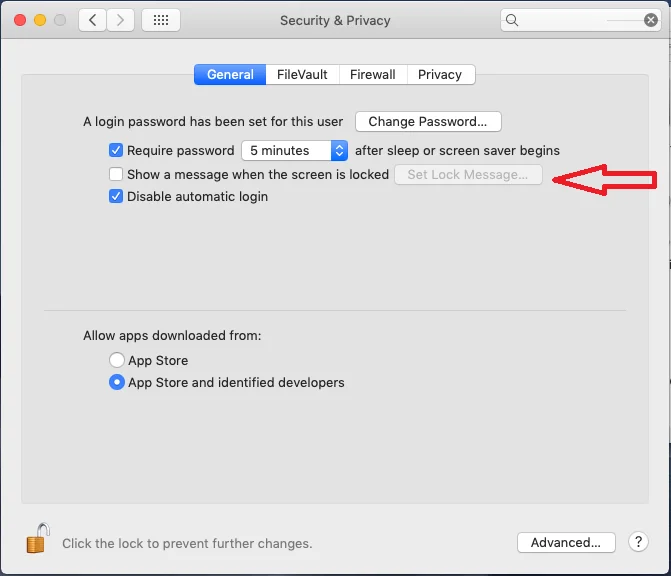 Tips för att göra din Mac säker när du reser