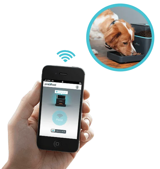 8 mjetet më të mira që duhet të kenë për pronarët e qenve