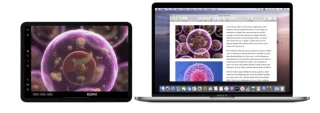 14 bendrų „macOS Catalina“ problemų ir greitų jų pataisymų