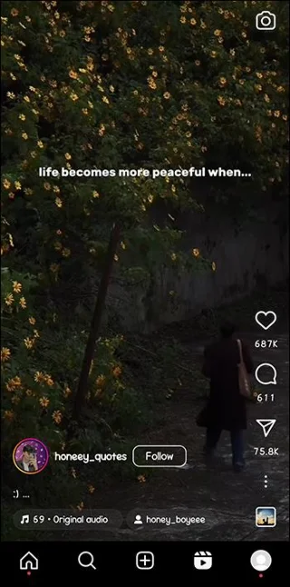 Най-добрият инструмент за изтегляне на Instagram Reels