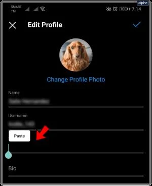 Što znači kada netko kaže "link u biografiji" na Instagramu?