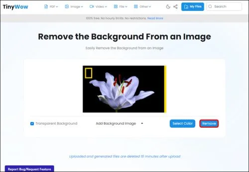 Как да премахнете фона от снимка във PhotoPea