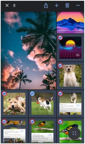 Как да прехвърлите Google Photos в ICloud
