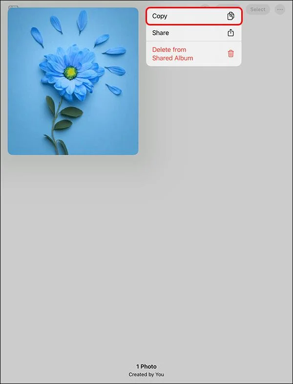 Procreate: Πώς να προσθέσετε εικόνα σε επίπεδο