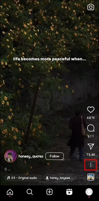 Най-добрият инструмент за изтегляне на Instagram Reels