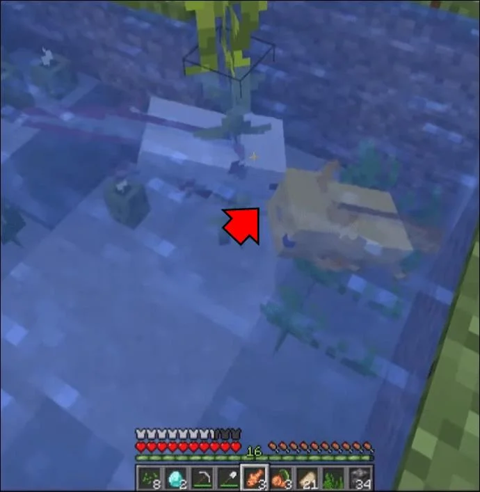 Πώς να αναπαράγετε το Axolotl στο Minecraft