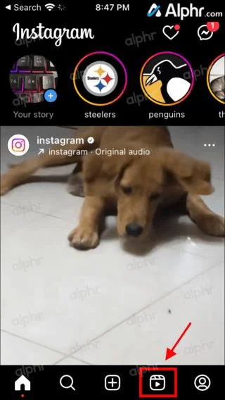 Как да изтеглите Instagram Reels