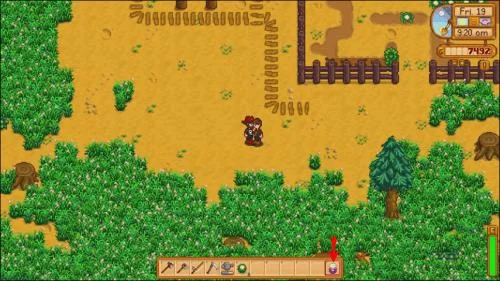 Как да се оженим в Stardew Valley