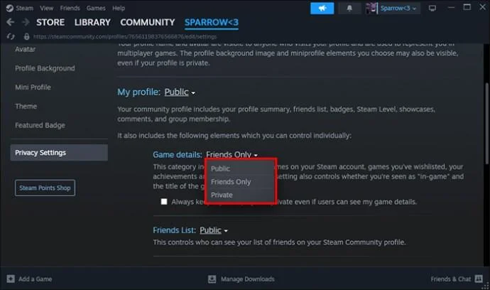 Jak skrýt hry před přáteli ve službě Steam