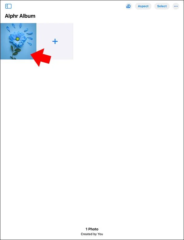 Procreate: Πώς να προσθέσετε εικόνα σε επίπεδο