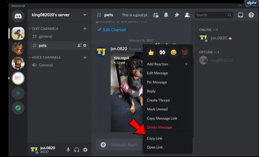 Πώς να κατεβάσετε βίντεο από το Discord