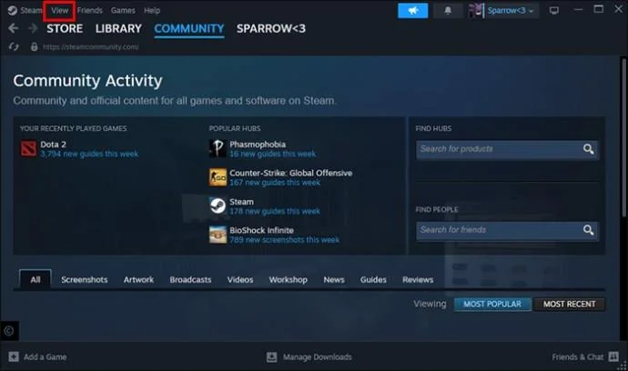 Jak skrýt hry před přáteli ve službě Steam