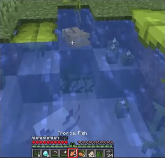 Πώς να αναπαράγετε το Axolotl στο Minecraft