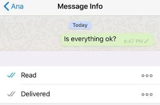 Защо съобщението ми има само една отметка в WhatsApp?