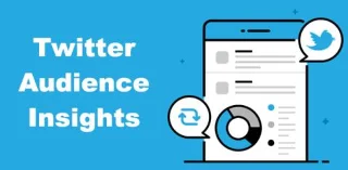 Как да получите разширена информация за аудиторията в Twitter