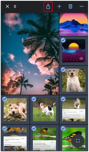 Как да прехвърлите Google Photos в ICloud